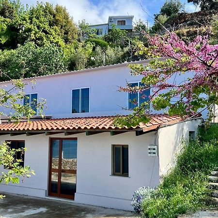 Residence Villa Denny&Villa Kate Borsh Kültér fotó