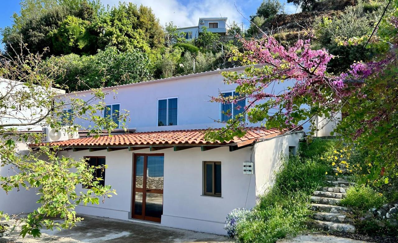 Residence Villa Denny&Villa Kate Borsh Kültér fotó